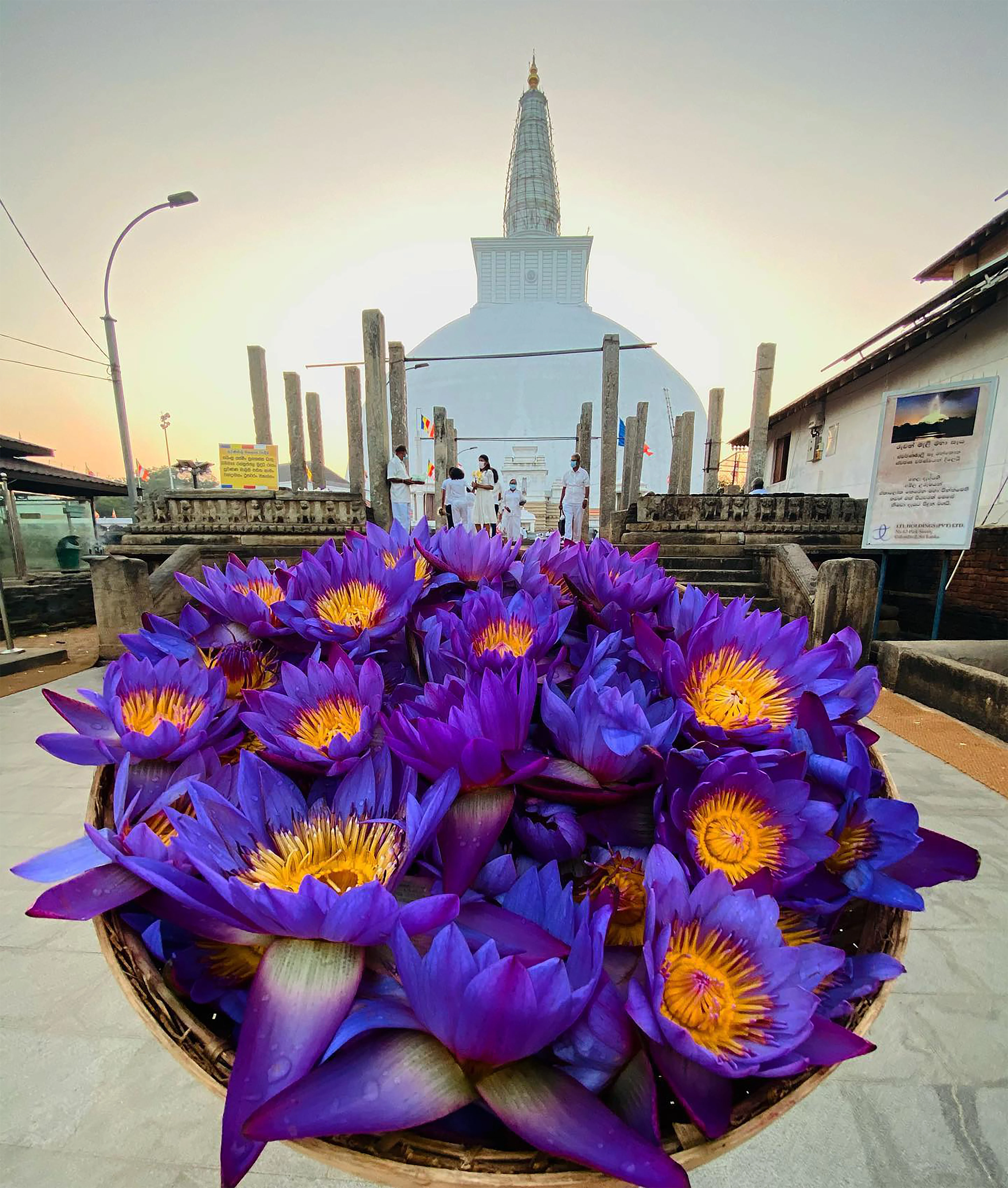 Anuradhapura & Wilpattu